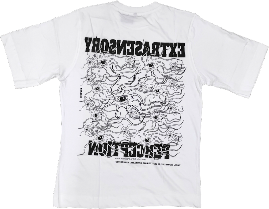 Extrasensory perception, Unisex (White, Oversize fit)